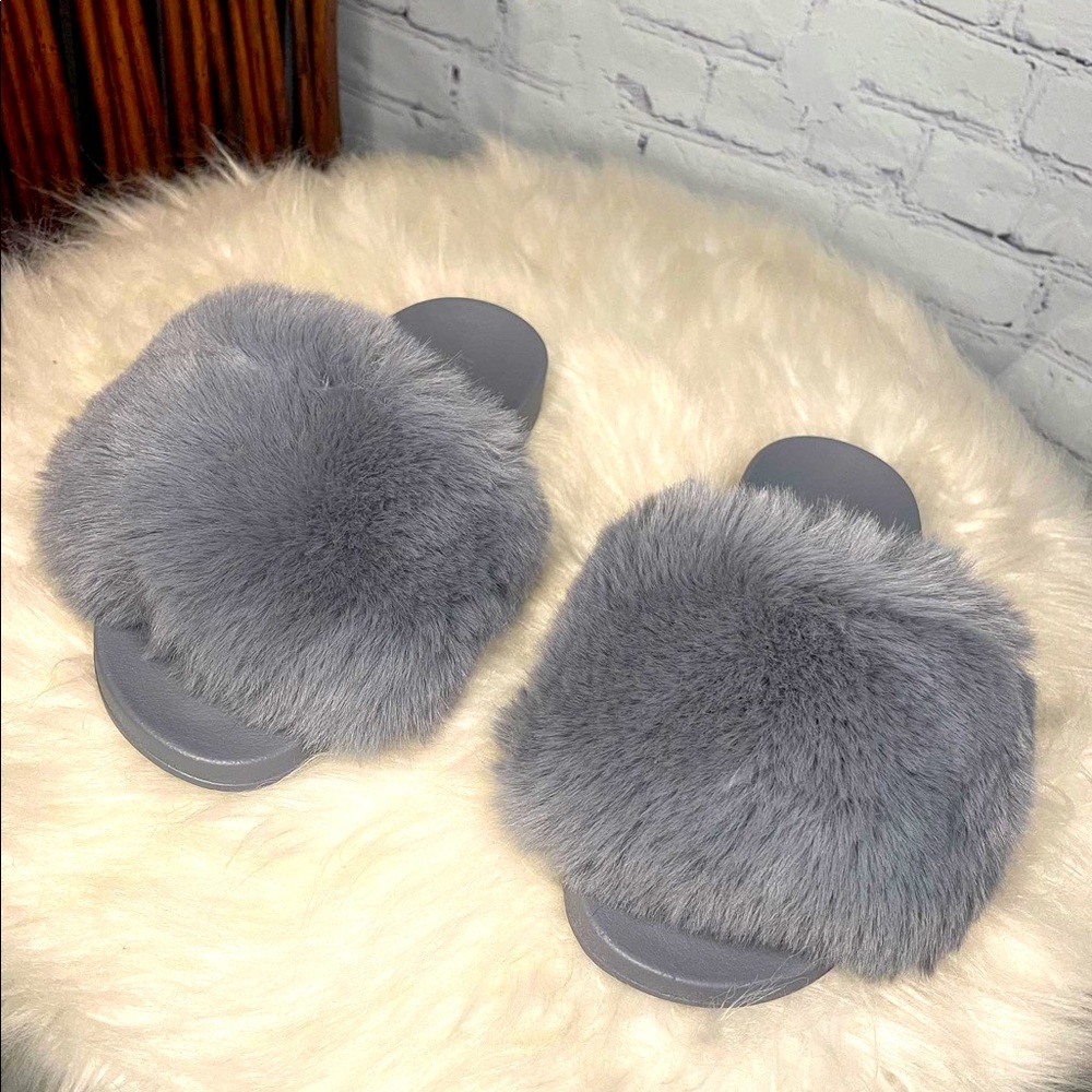 Bisselle gray slides